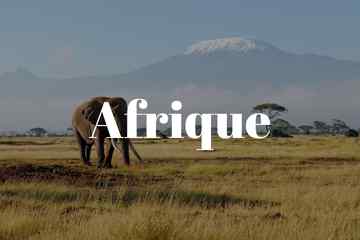 checklist voyage afrique