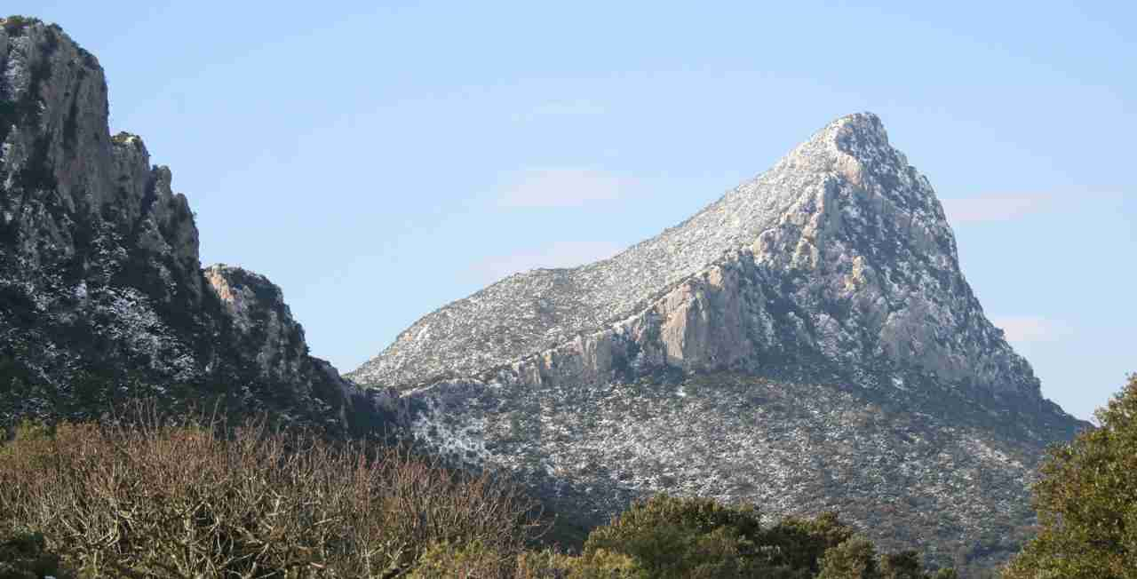 visiter montpellier pic saint loup vignobles